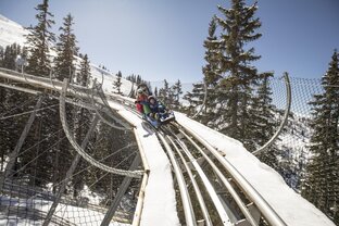 Alpine Coaster